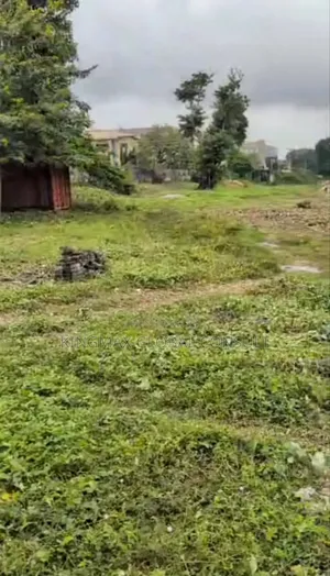 Commercial Plot for Sale: 4 Hectares With Cofo