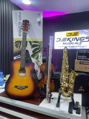 Children Standard Musical Equipment Guitar-Keyboard-Violin-Saxophone
