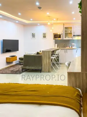 Studio Shortlet in Ikoyi