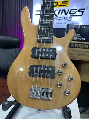 Ibanez Bass Guitar for Professionals -Active