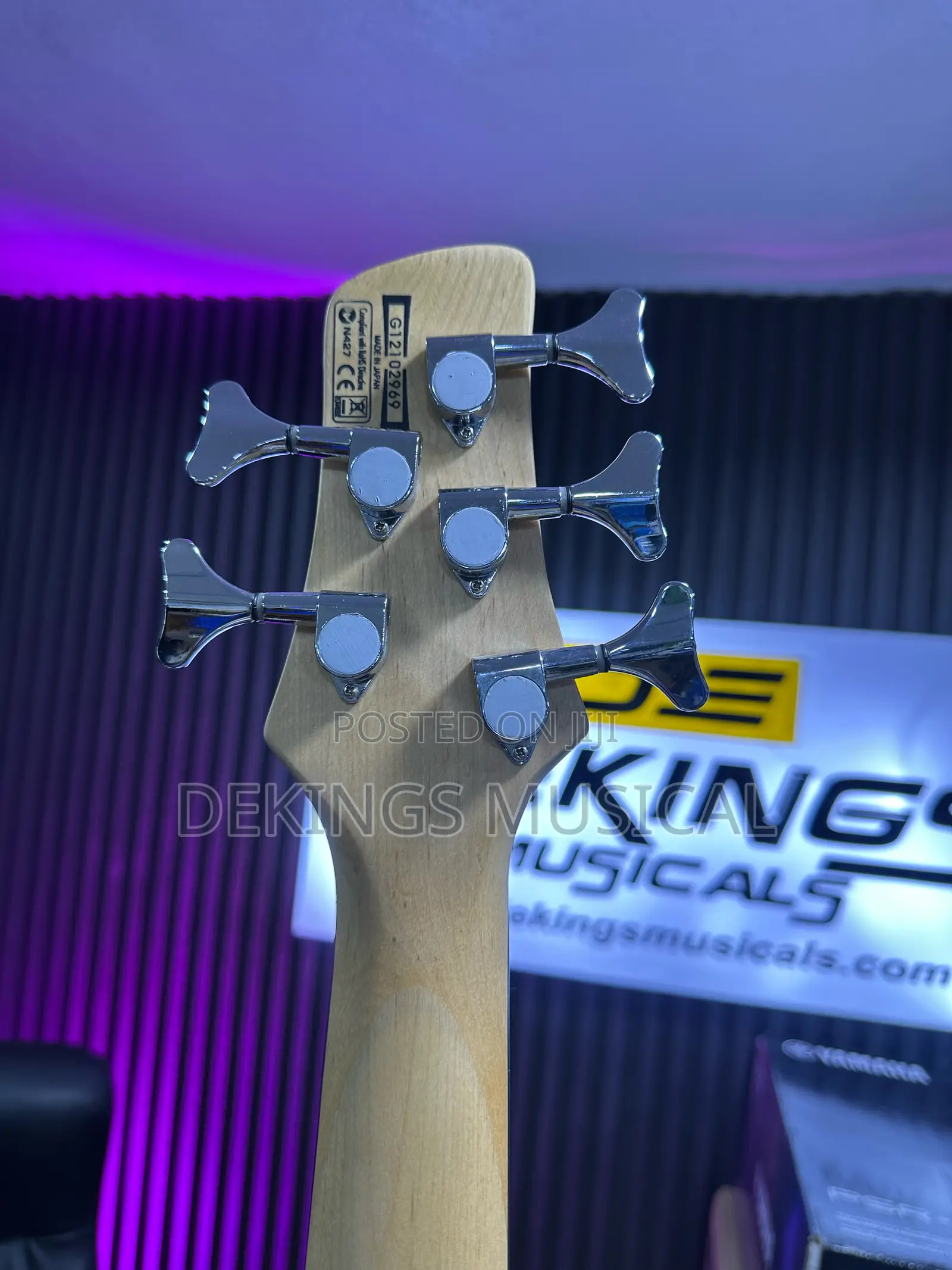 Ibanez Bass Guitar for Professionals -Active
