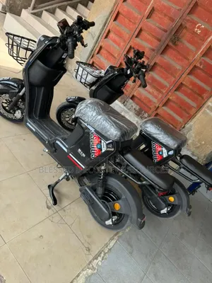 Electric Bike