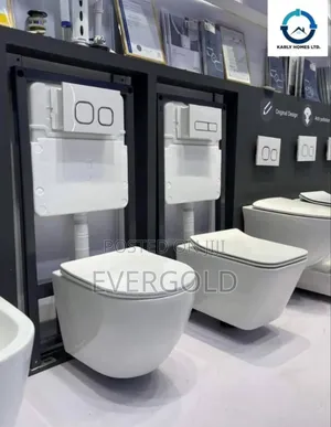 Conceal Water Closet With Complete Accessories