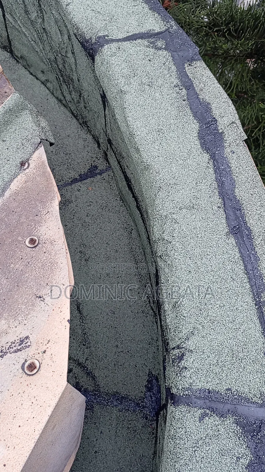 Egghead Leak-Proofing Expert
