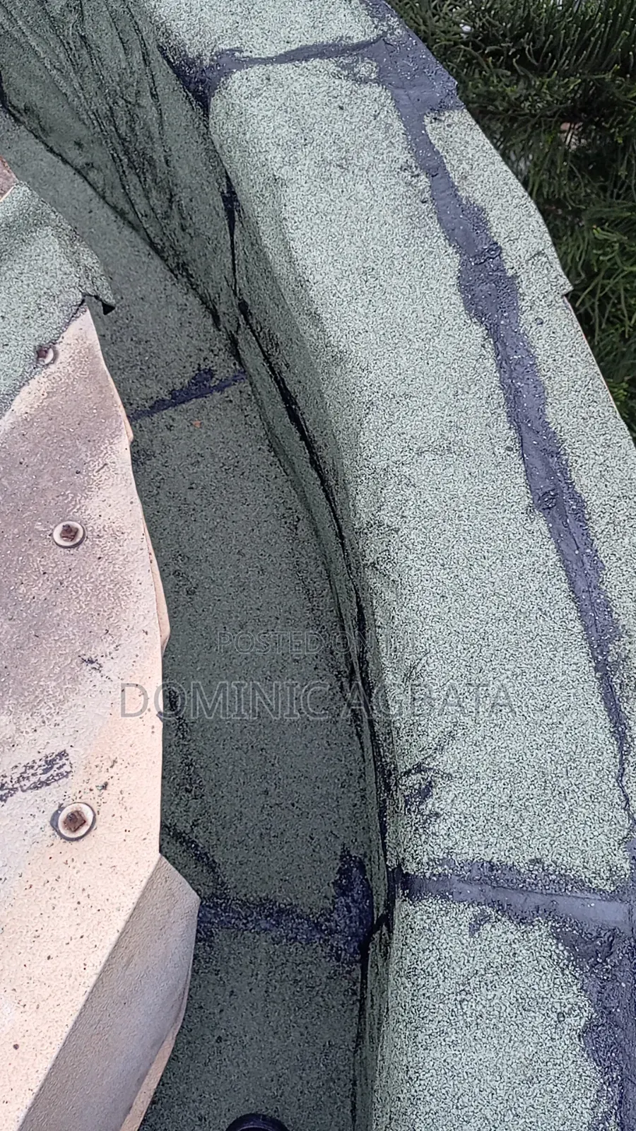 Egghead Leak-Proofing Expert