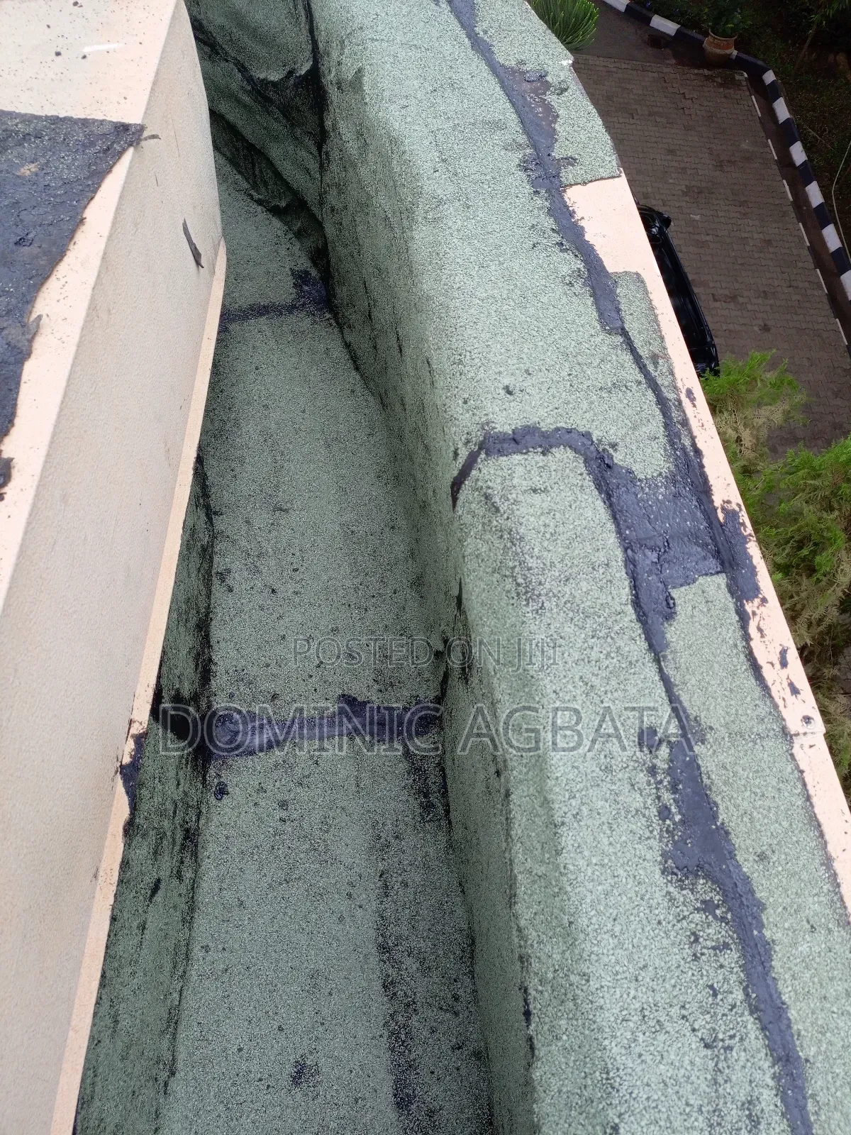 Egghead Leak-Proofing Expert
