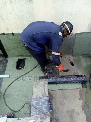 Donnish Leak-Proofing Expert
