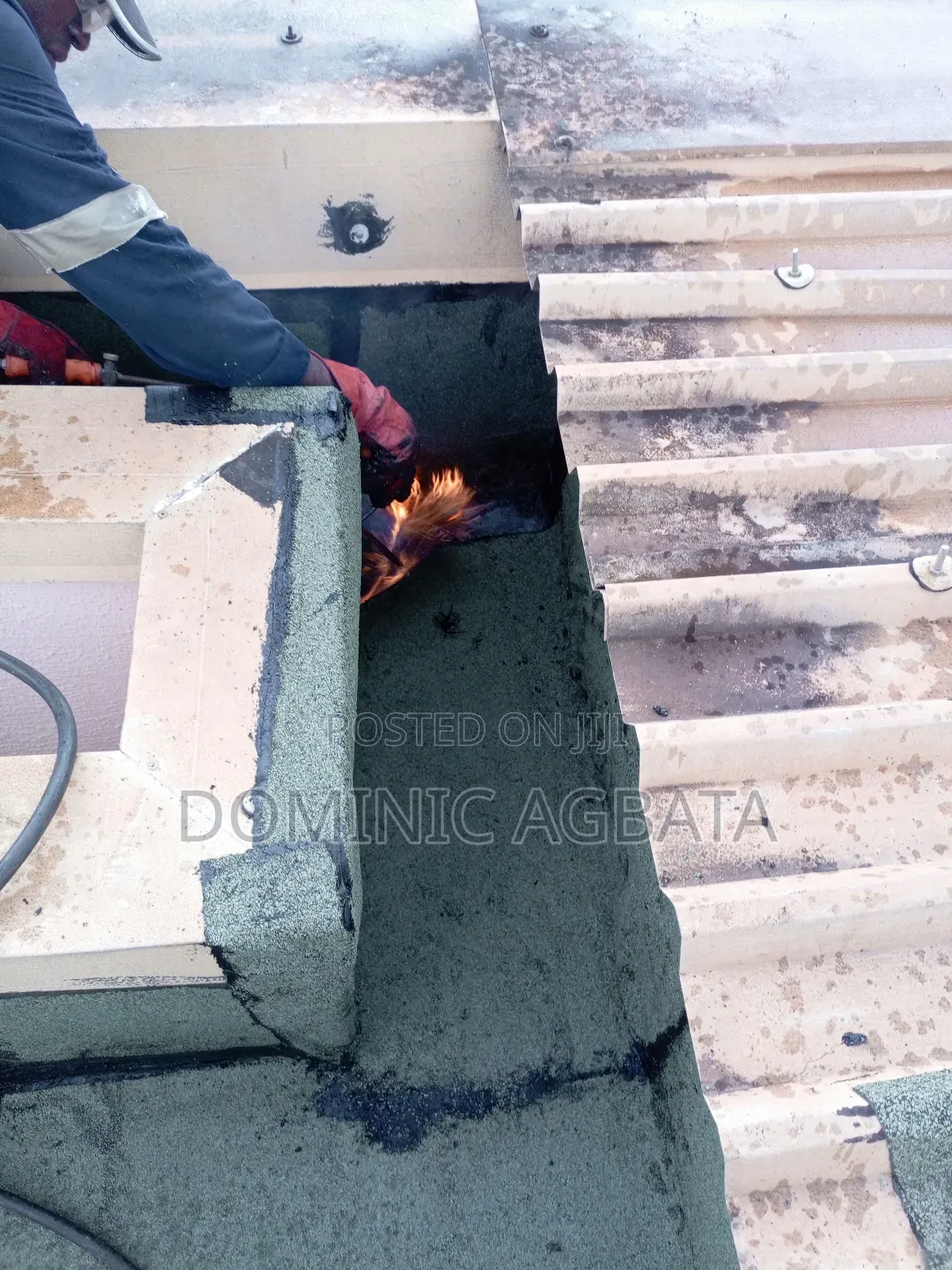 Donnish Leak-Proofing Expert