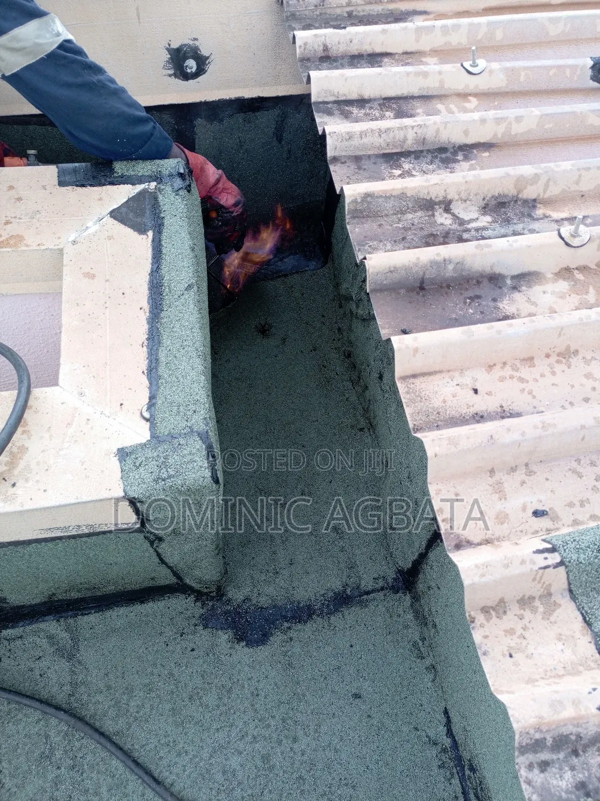Donnish Leak-Proofing Expert