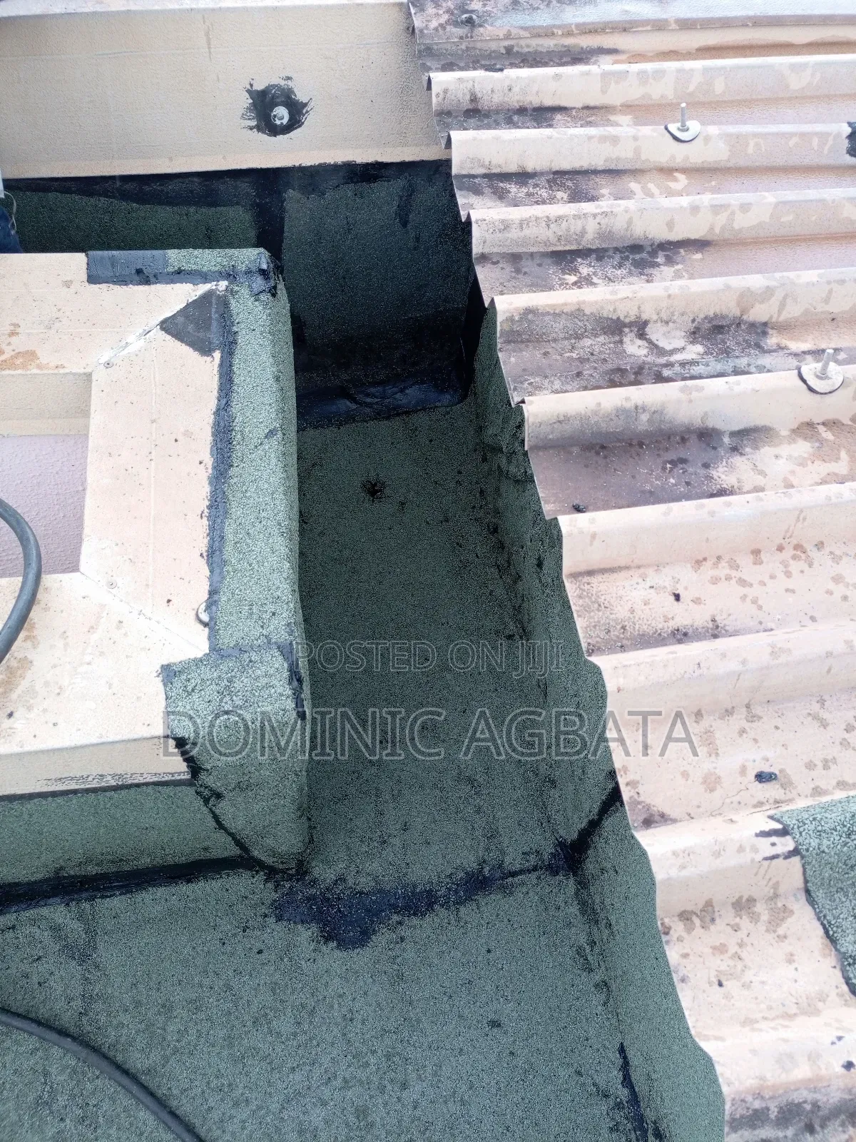 Donnish Leak-Proofing Expert