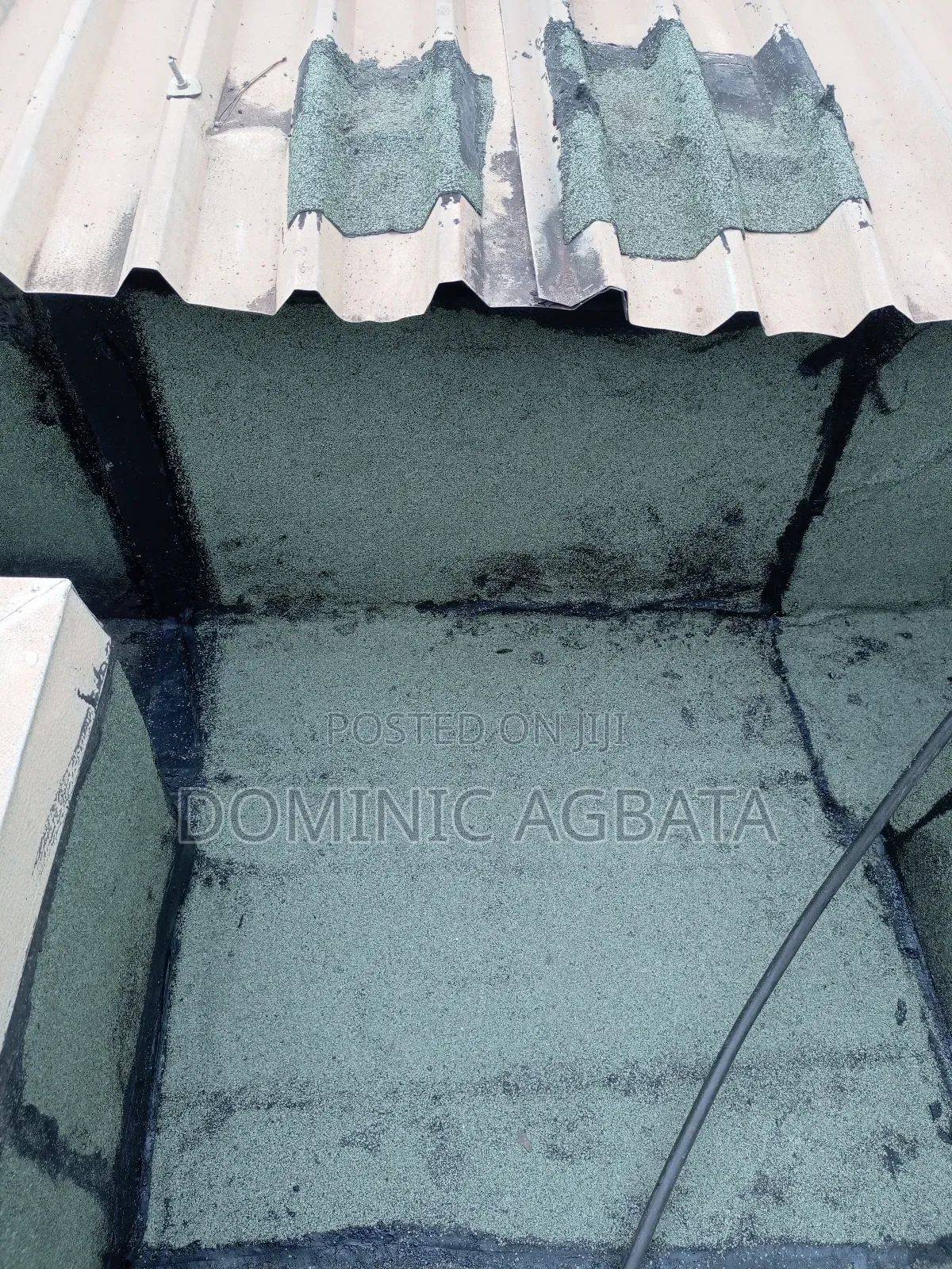 Donnish Leak-Proofing Expert
