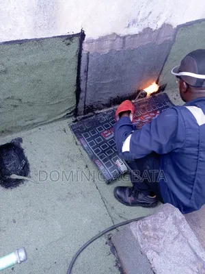 Pedagogic Leak-Proofing Expert