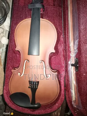 Violins 4/4 and 4/3 and Violas