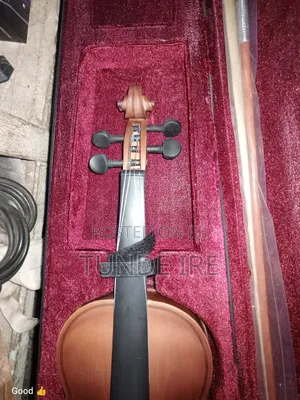Violins 4/4 and 4/3 and Violas