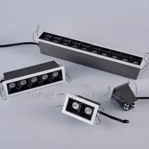Enbedded Led Spotlight Linear Light