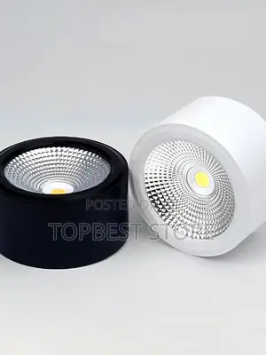 Cantilever Cob Down Light