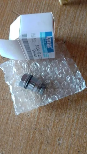 Bosch Sensor