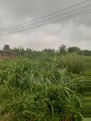 Pig Farmland