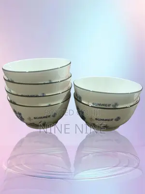 Nine 6pcs Simple Style Ceramic Bowls (J-002)