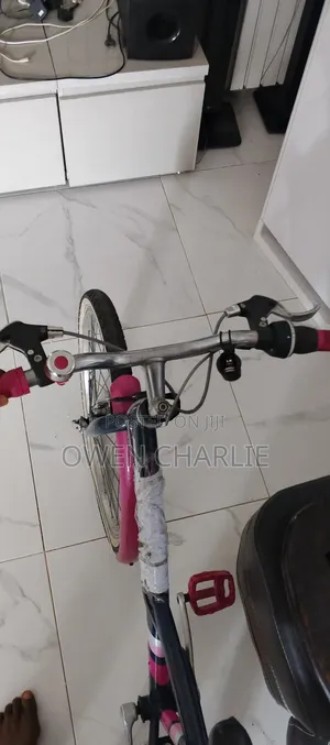 Bicycle Mountain Bike