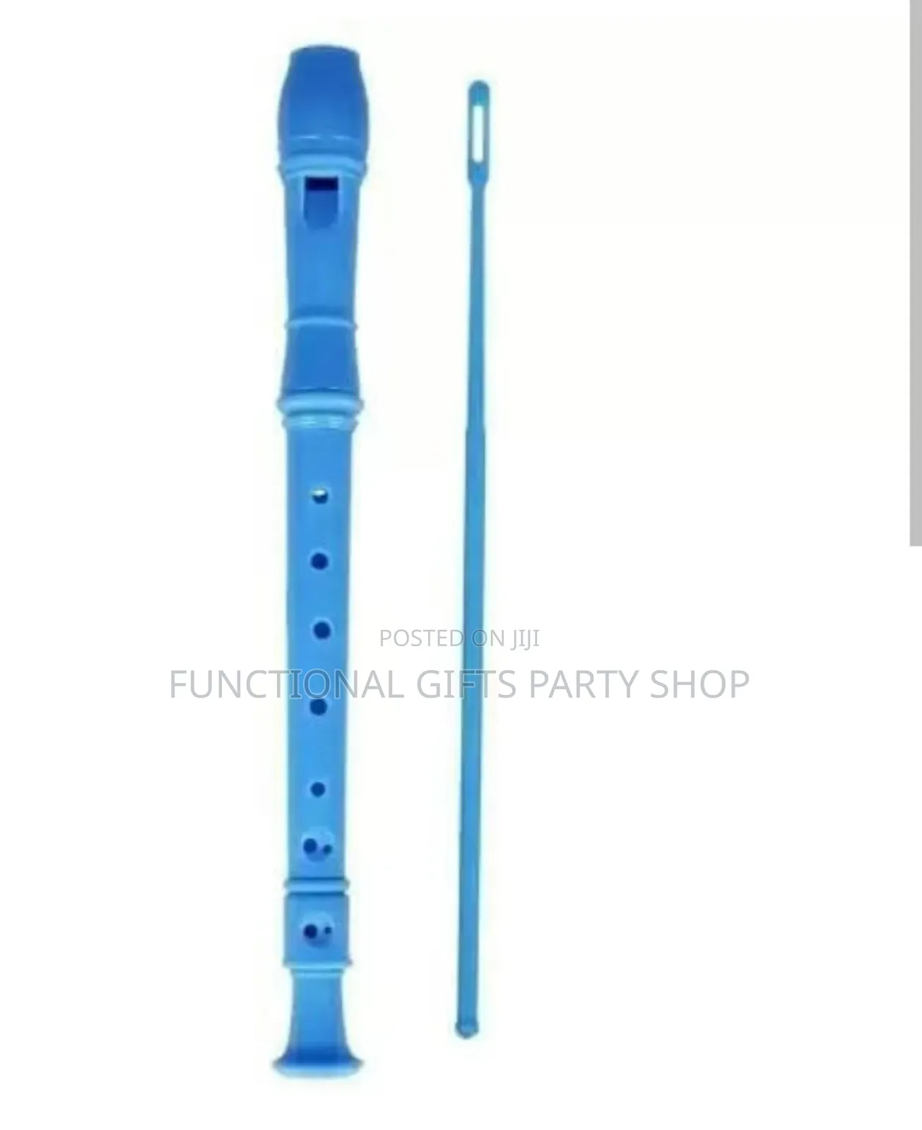 Soprano Recorder With Cleaning Rod