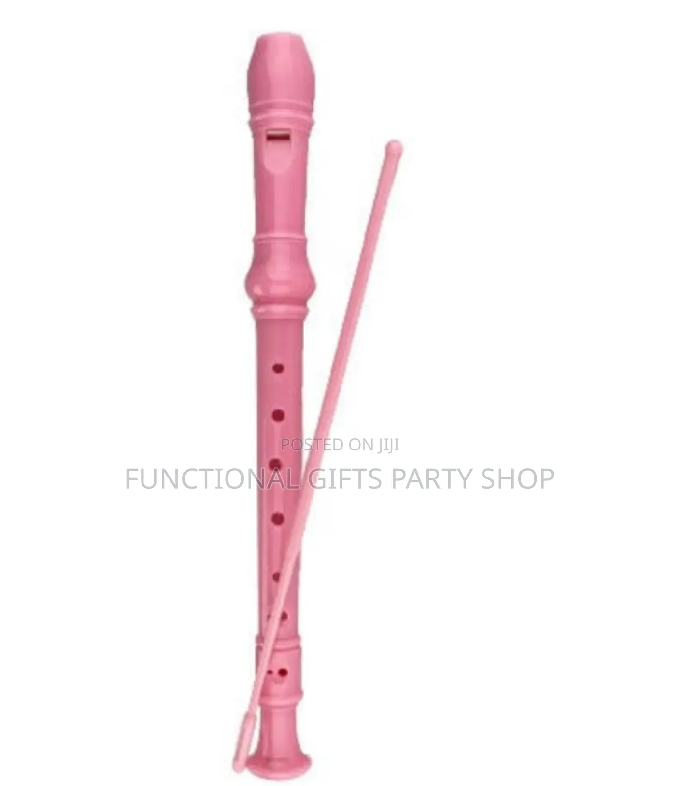 Soprano Recorder With Cleaning Rod