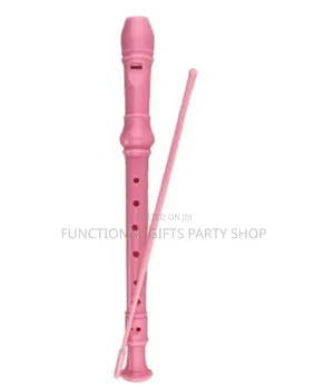 Soprano Recorder With Cleaning Rod