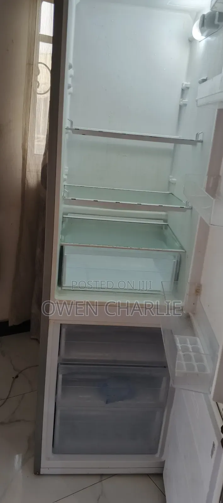 Standing Freezer 210 Litter
