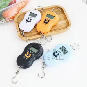 Mini Hand Weighing Scale