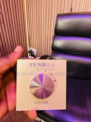 Gold Volume Controller For Ceiling/Pop Speakers