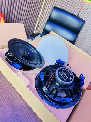 50watts Frameless Ceiling Speakers With Woofer