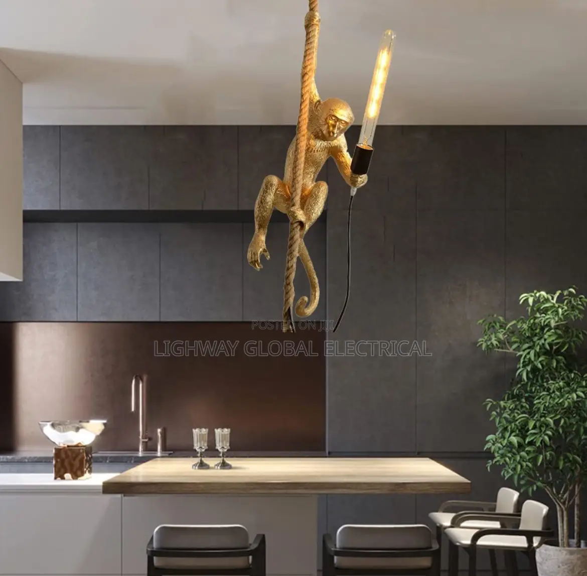 Monkey Light