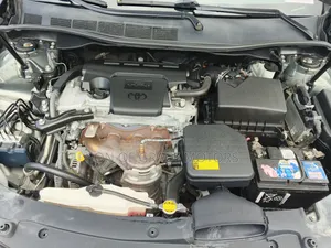 Toyota Camry LE 4dr Sedan (2.5L 4cyl 6A) 2012 Green