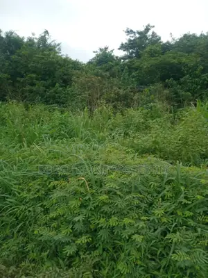 For Sale. 750 Acres Of Land At Oriire Lg