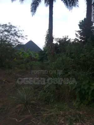 Distress Buy And Build Plot At Ulakwo Etche