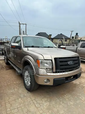 Ford F-150 FX4 2011 Gold