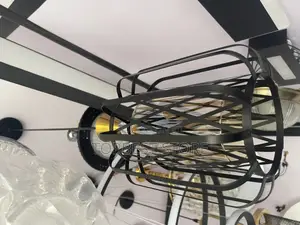 Classic Interior Dropping Pendant Light