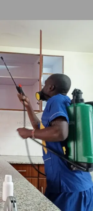 All Stars Cleaning Services