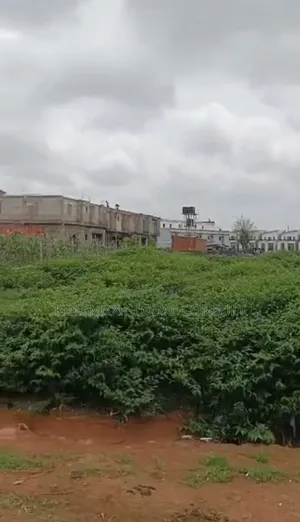 Commercial Land For Sale Size: 1.63 Hectares Title: Cofo