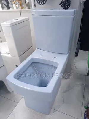 Luxury Blue Water Closet