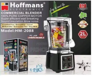 4l 4800watts Hoffmans Multifunctional Wall Breaking Machine Blender