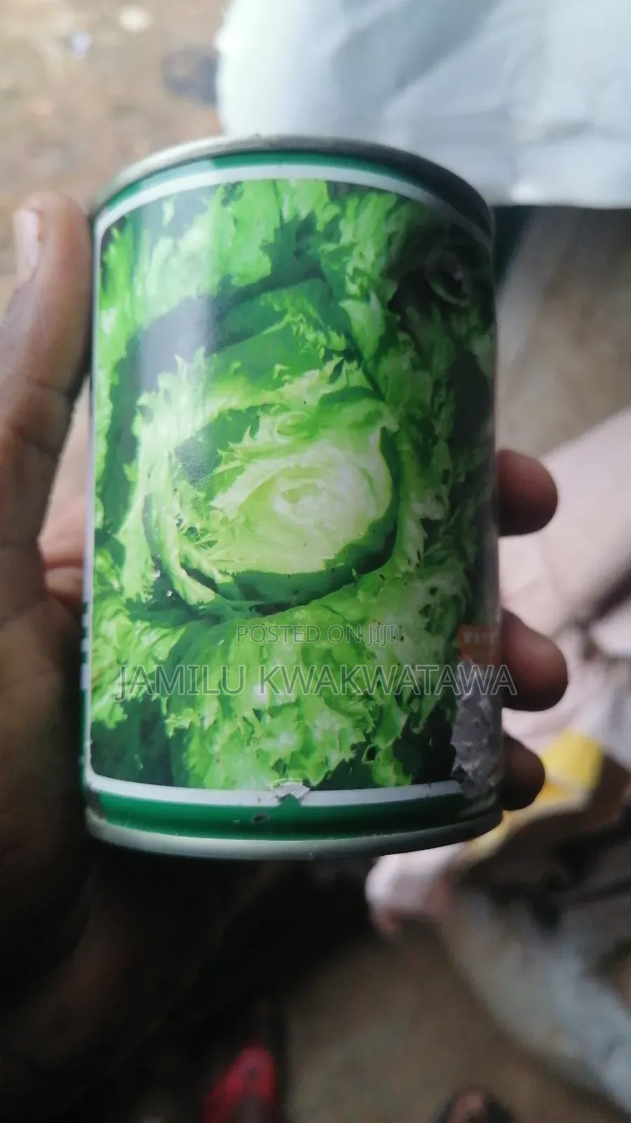 Eden Lettuce Seed