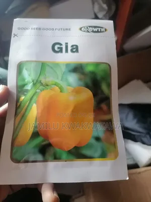 Different Types of Seed