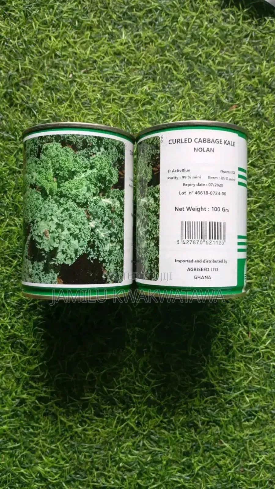 Curly Kale