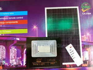 100w KTJ Floor Solar Light