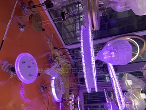 Single Drop Chandelier