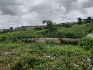 75ft by 145ft ( 1000sqm ) 2 Plot Ijegun Festac Lasu New Link Rd Lgos