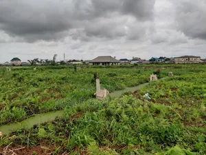 1000sqm ( 2 Plots ) Ijegemo Pilled Fence New Expressway Close to Road