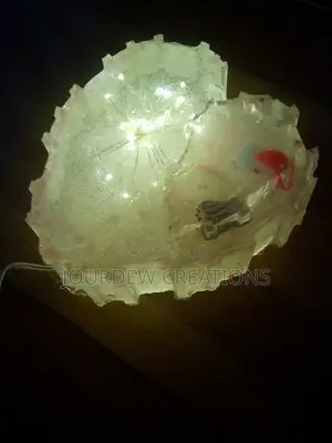 Learn to Make Usb Resin Nightlight