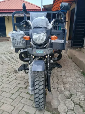New Tricycle 2025 Gray